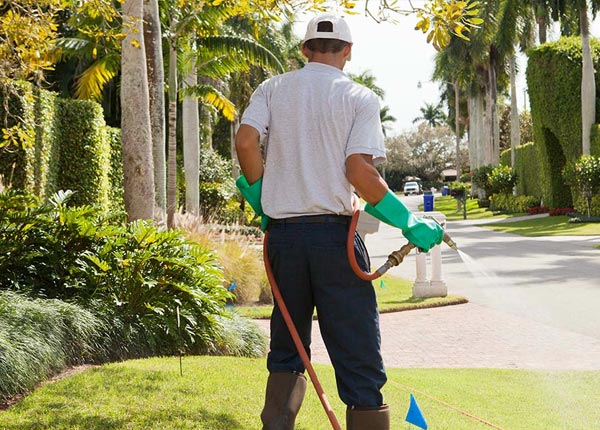About Florence KS Pest Control